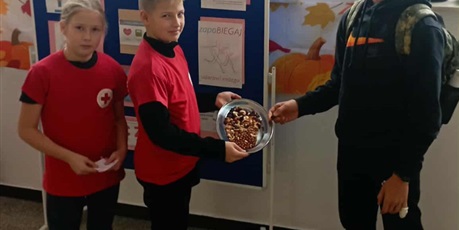 Obchody Światowego Dnia Udaru Mózgu